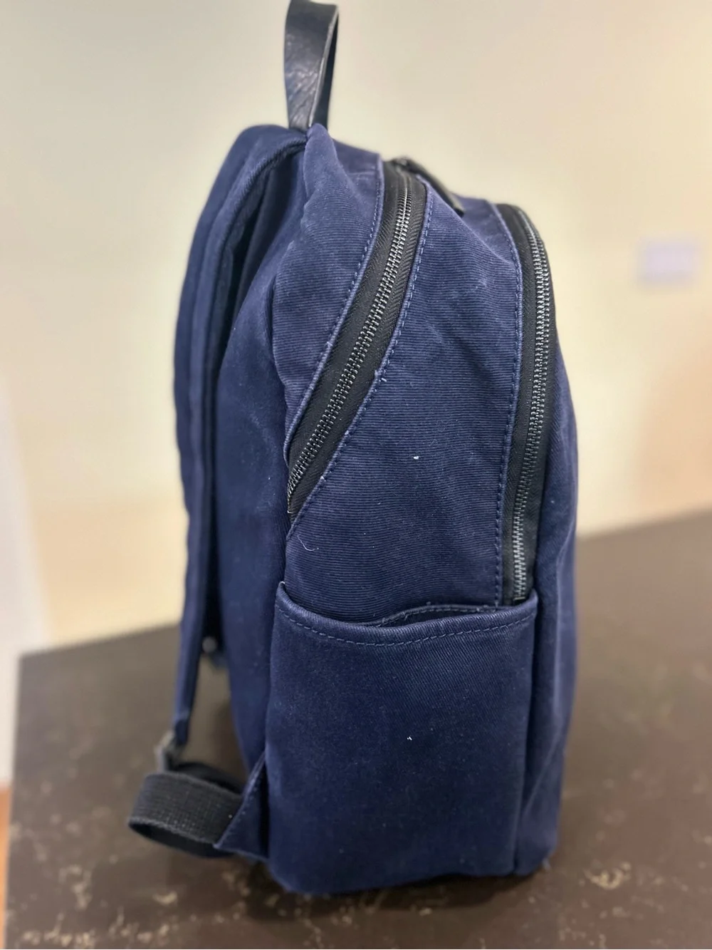 Everlane Modern Commuter Canvas Backpack